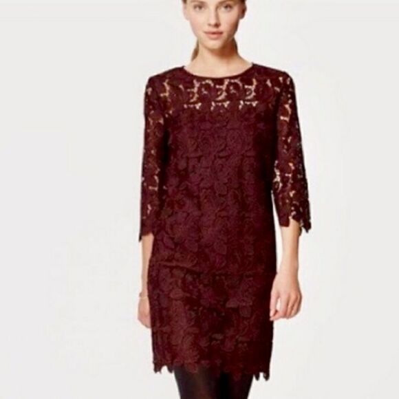 Loft Maroon Floral Lace Dress - Picture 2 of 14